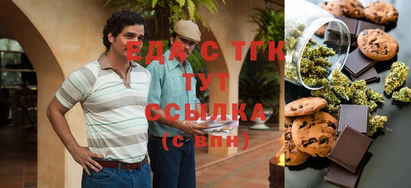 эйфоретик Няндома
