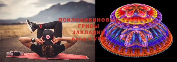 хмурый Билибино