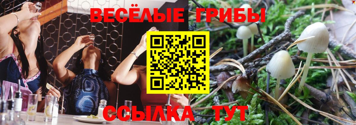 Туапсе  Псилоцибиновые грибы MAGIC MUSHROOMS  Вход с VPN  Галлюциногенные грибы прущие грибы 